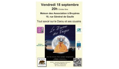 Conférence BERIAN : "Tout savoir sur le darou et ses cousins"