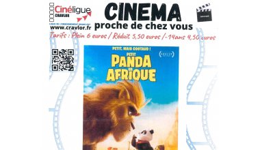 Cinéma : Petit Panda en Afrique